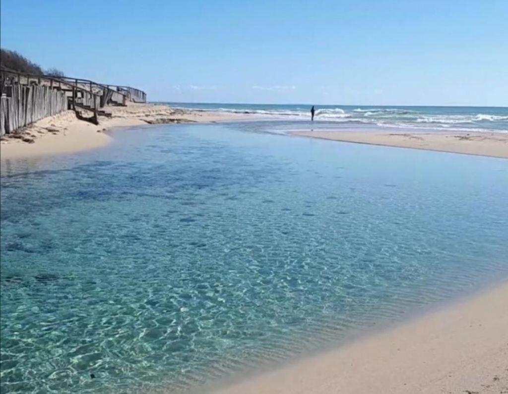 מנדוריה Palazzo Primitivo Casa Vacanze Appartamento מראה חיצוני תמונה